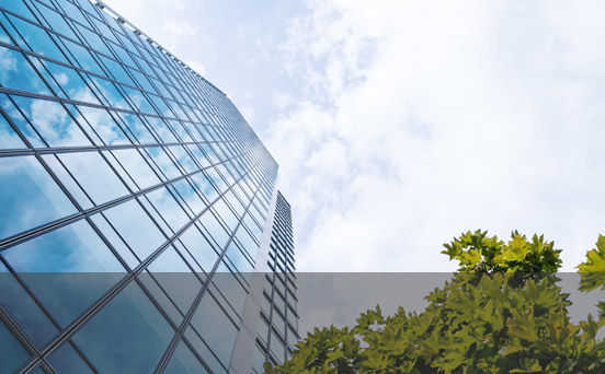 淄博华森粘合剂有限公司